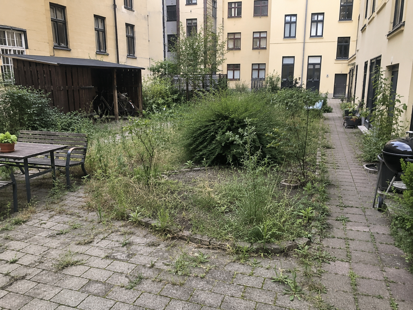 Före-bild av innergård i Malmö innan skötsel