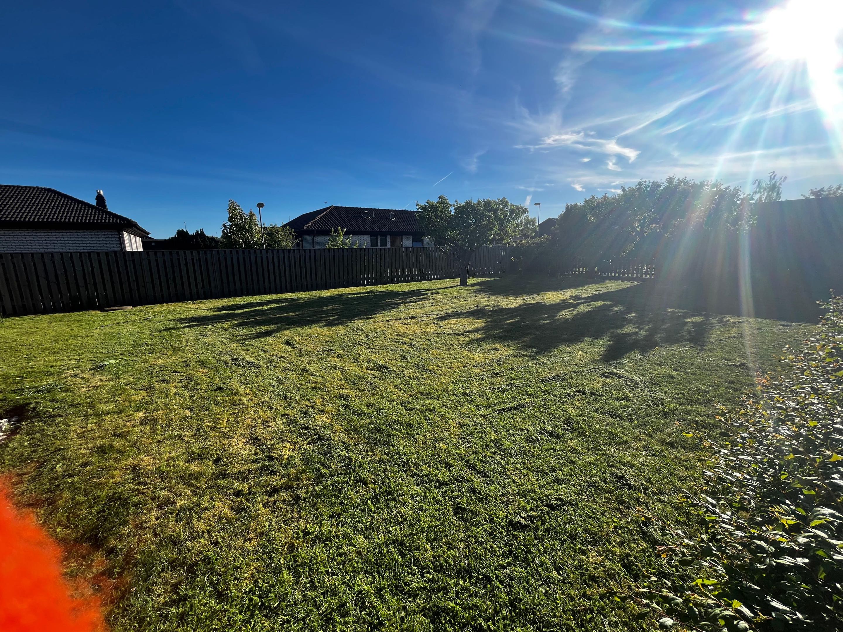 Nyklippt gräsmatta vid villa i Malmö en solig dag